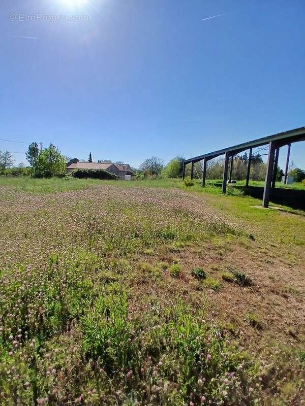 Terrain à SAINT-MARTIN-DE-RIBERAC