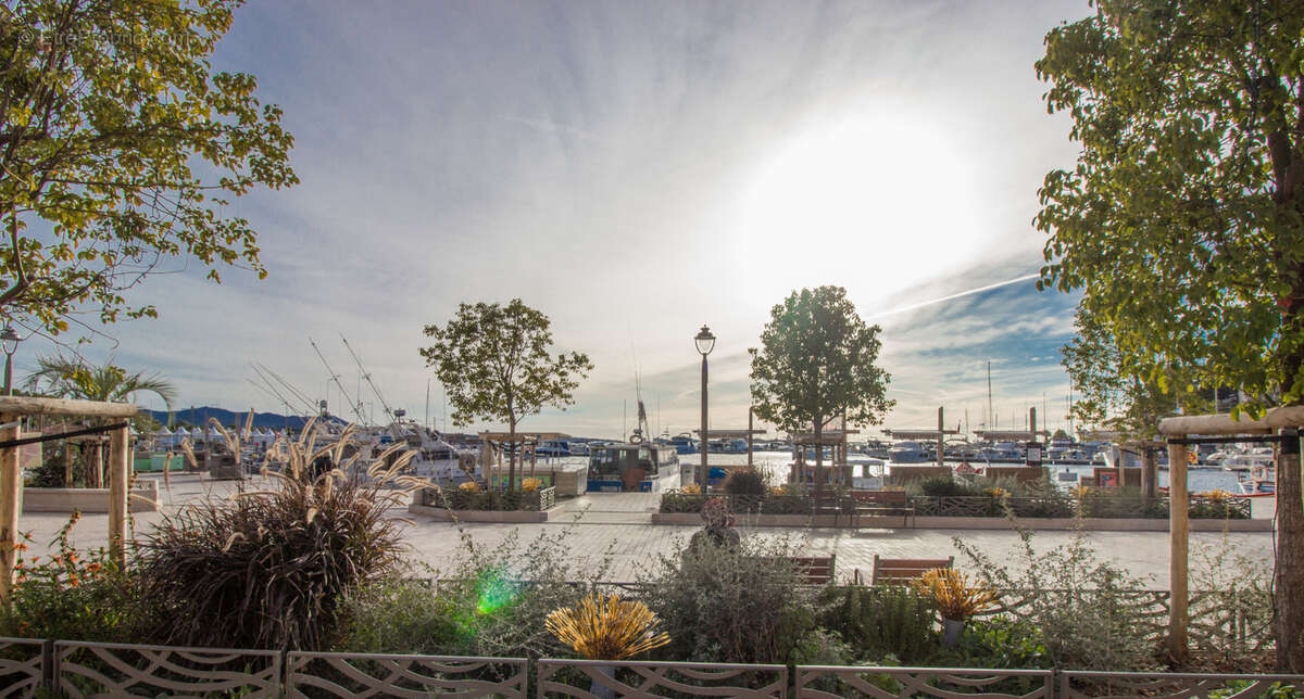 À Vendre   Immeuble sur le Port de Sanary-sur-Mer - photo 2