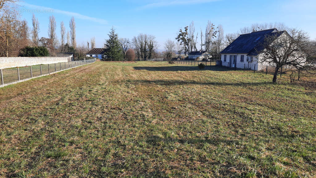 Terrain à TAVANT
