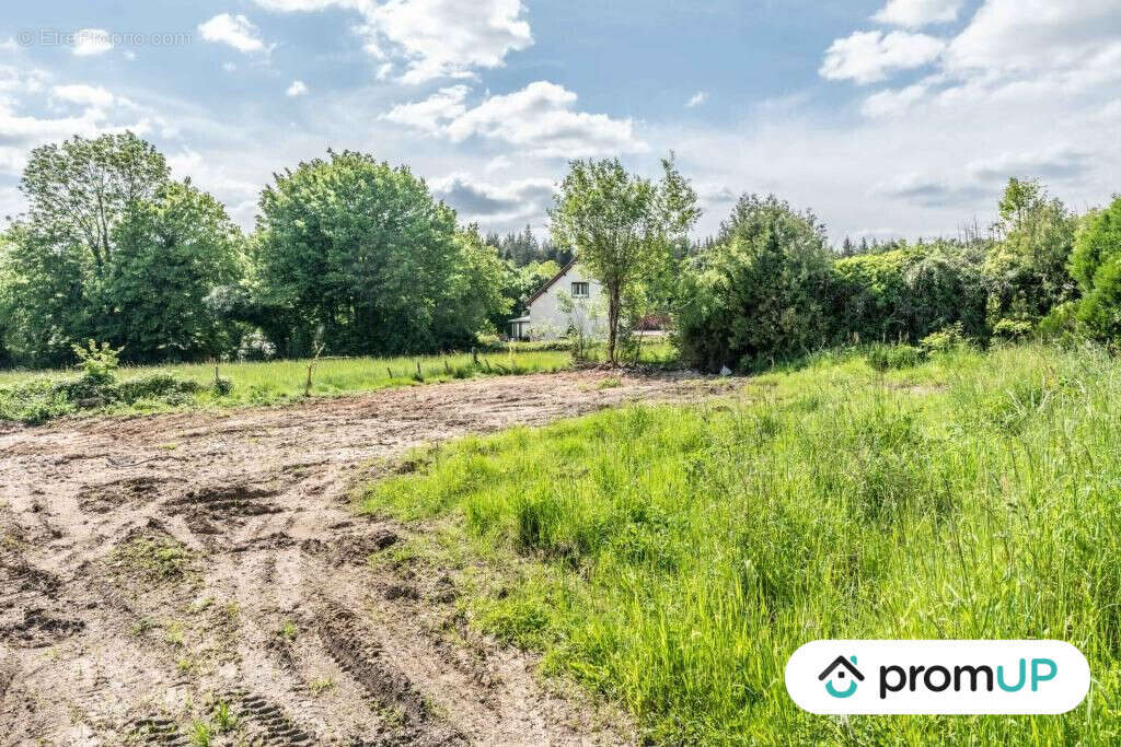 Terrain à LA FERMETE