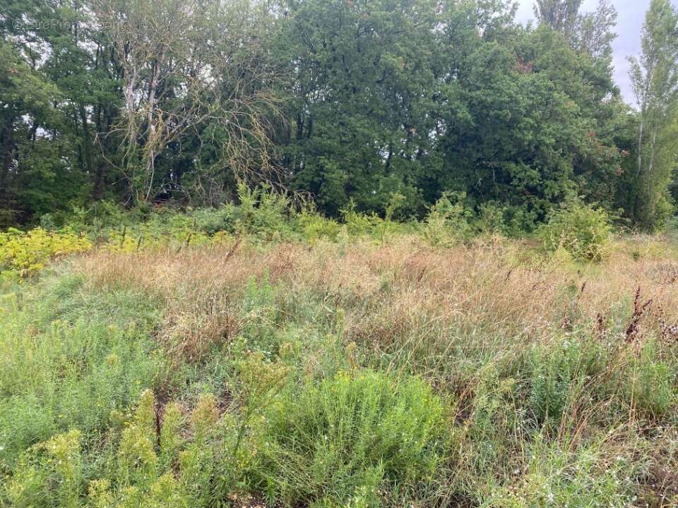 Terrain 400 m² à Malataverne  - photo 3
