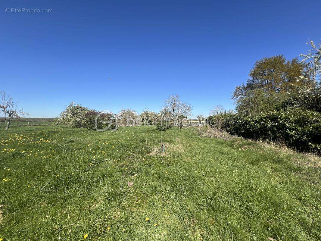 Belle maison 121 m2 de plain-pied avec tres grand jardin de 4500m2 - photo 16
