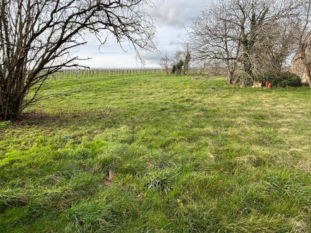 Terrain à LIGNIERES-SONNEVILLE