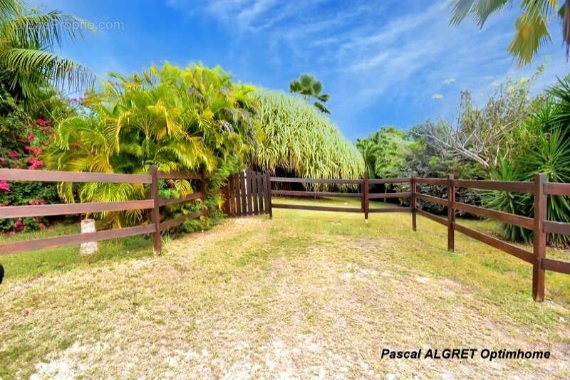 Maison à SAINT-FRANCOIS