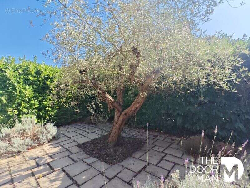 Maison à MONTIGNY-LE-BRETONNEUX