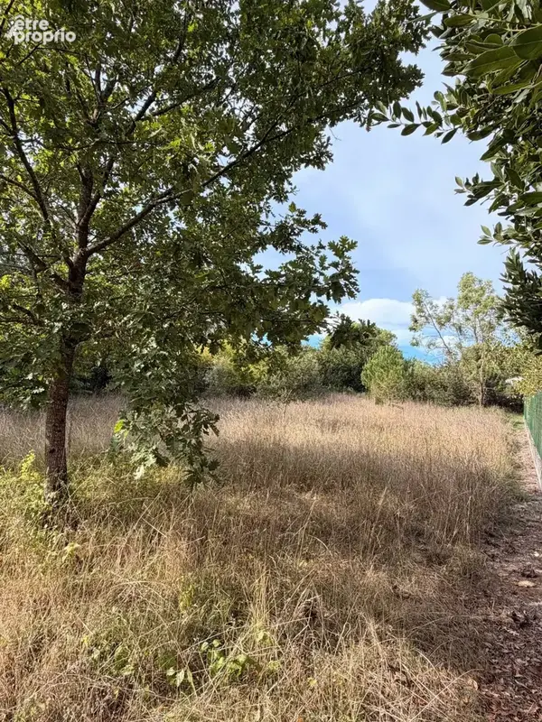 Photo Terrain à Ars au prix de 32 000€