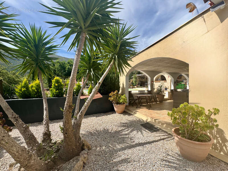 A vendre : Villa contemporaine de plain-pied avec piscine chauffée et vue montagne (Corse) - photo 3