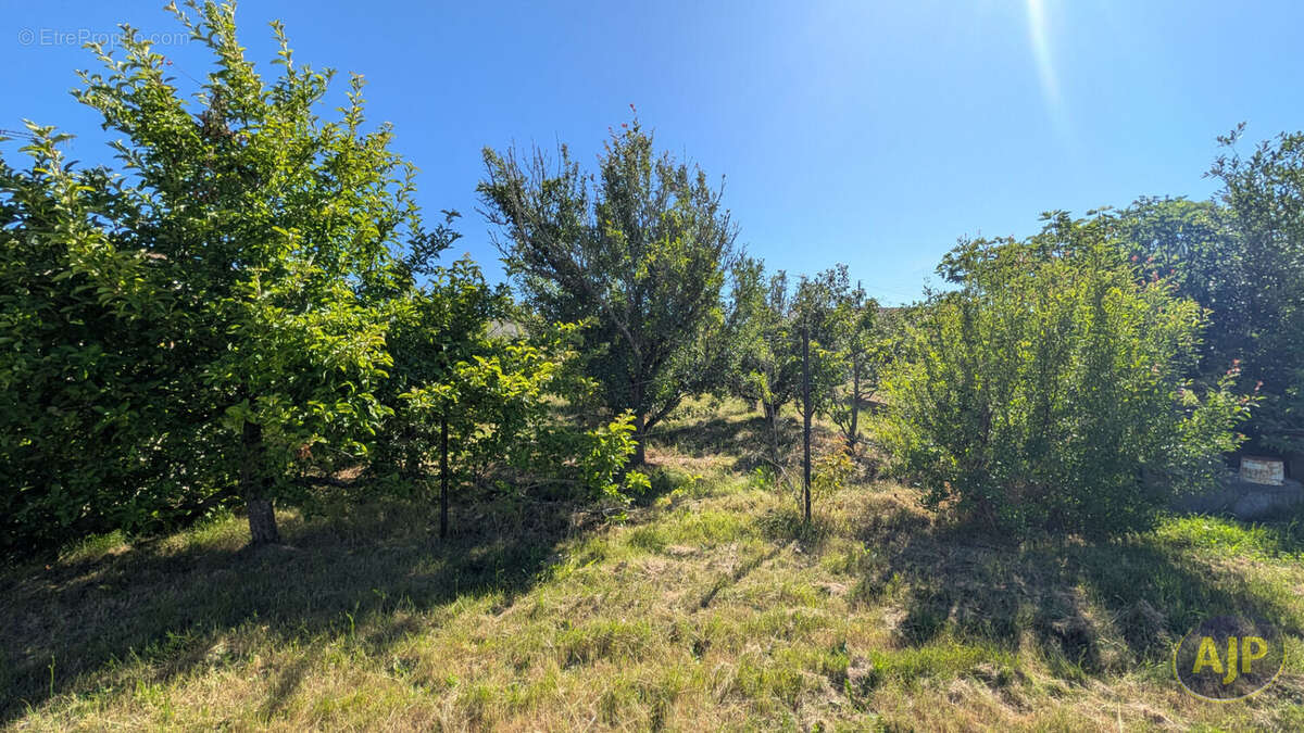 Terrain à L'AIGUILLON-SUR-MER