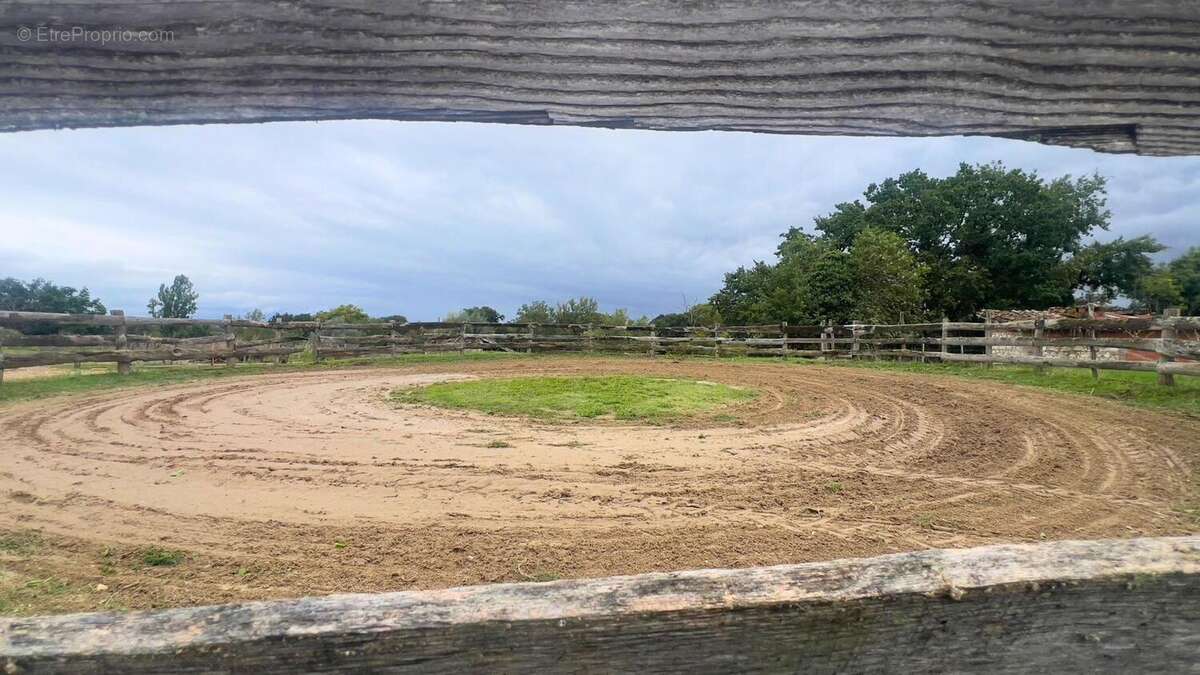 Photo 8 - Maison à GAILLAC