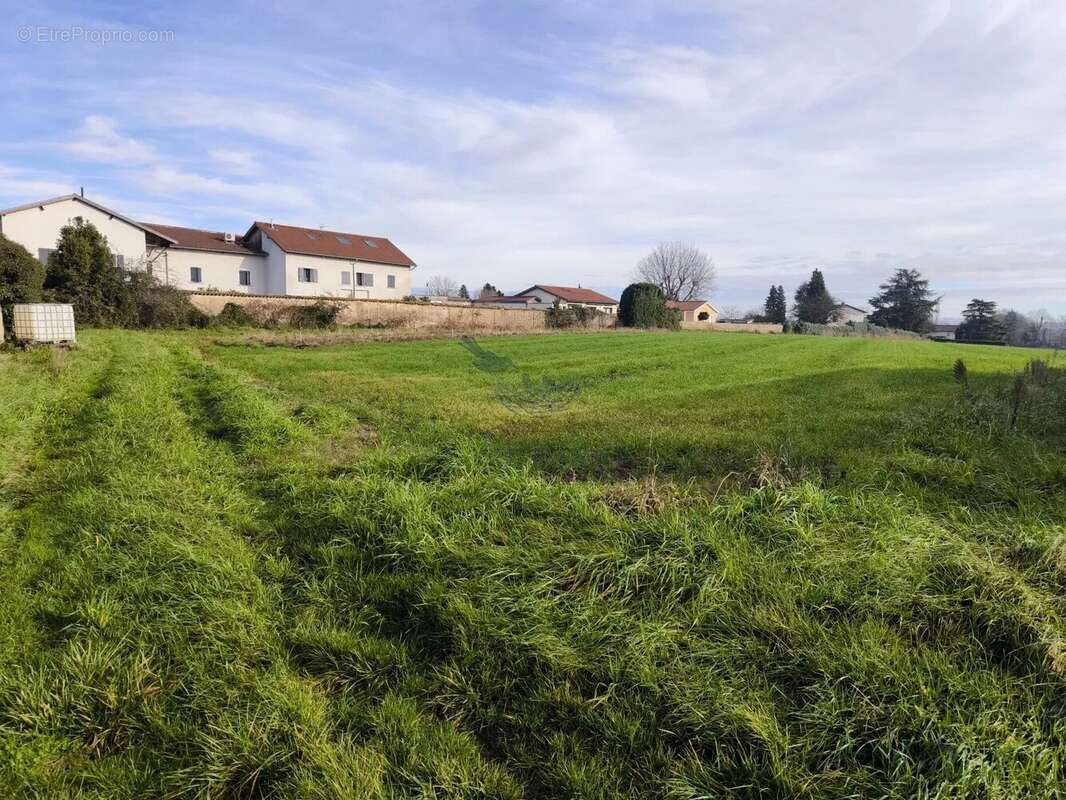 Terrain à SAINT-GEORGES-DE-RENEINS