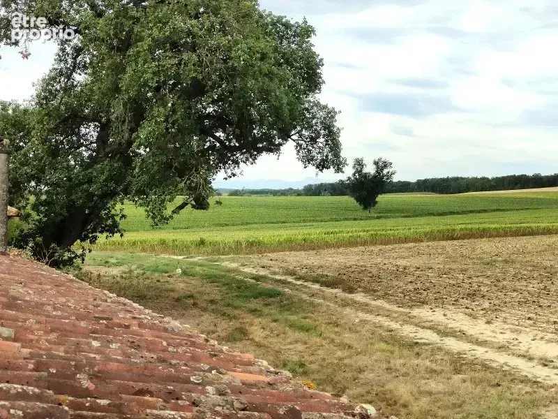 Maison ancienne, vue dégagée, 2,2ha, proche village dynamique - photo 13