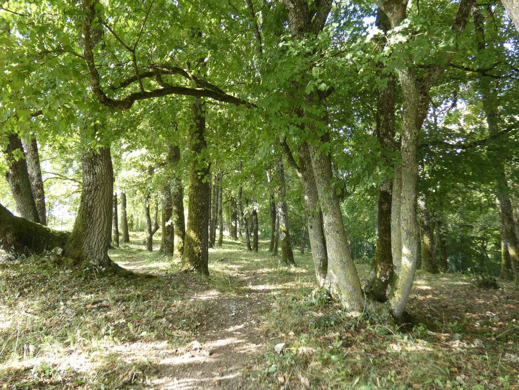 Maison à LA SAULSOTTE