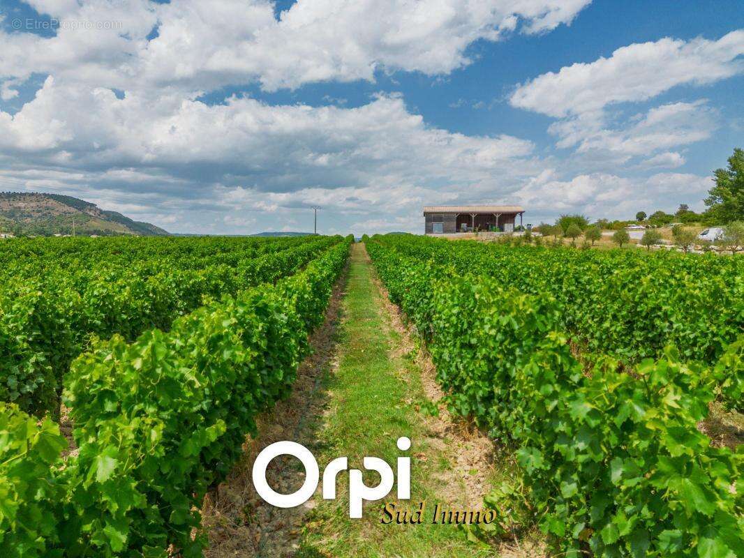 Appartement à ALBA-LA-ROMAINE