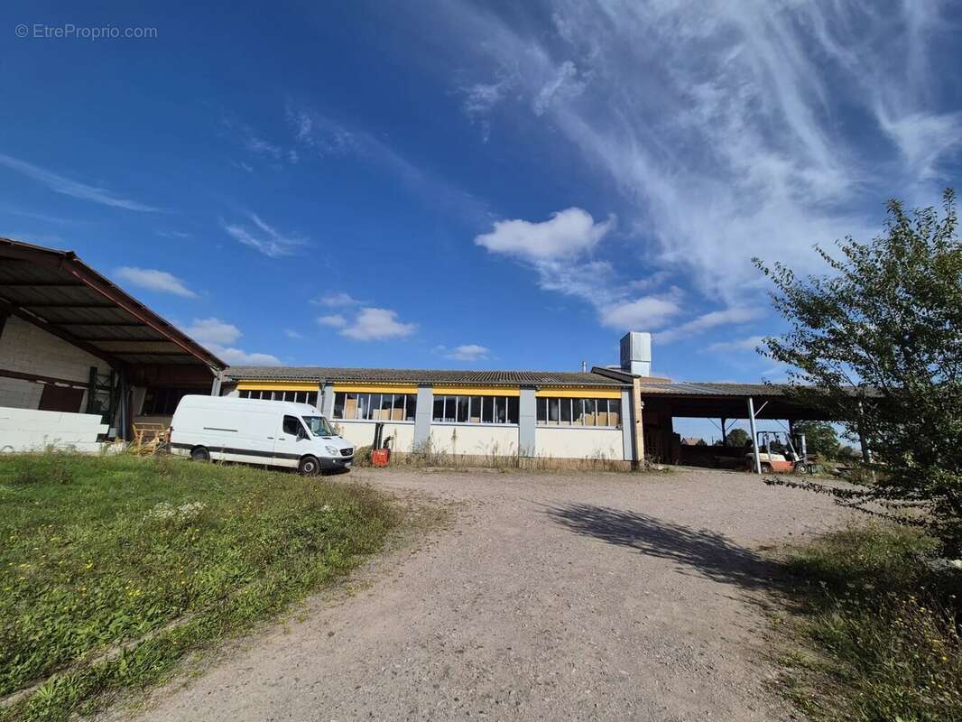 Commerce à ODRATZHEIM