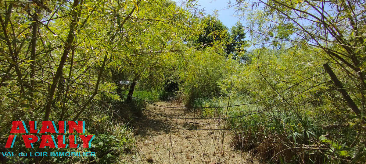 Terrain à BONNEVAL