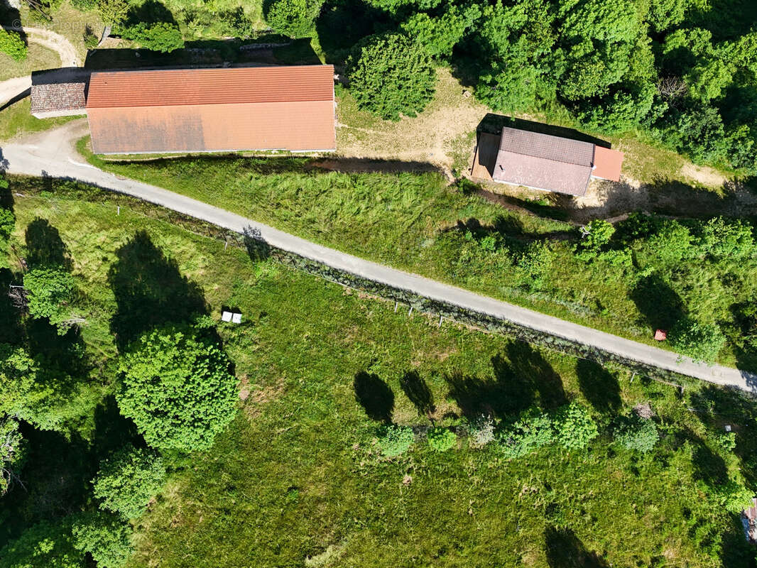 SAINT-PIERRE-SUR-DOUX   Ensemble immobilier avec maison rénovée, corps de ferme et 1,76 hectare de terrain - photo 22