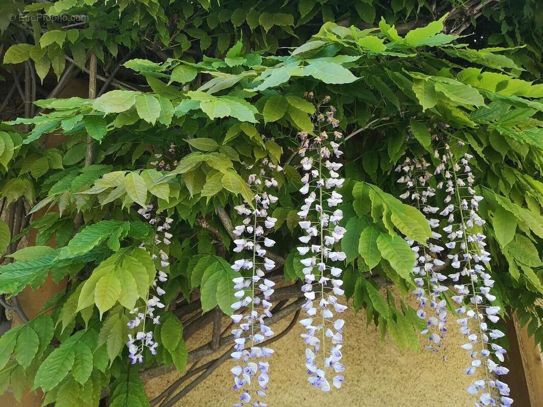 IMG20250428161050 - Maison à BARRAN