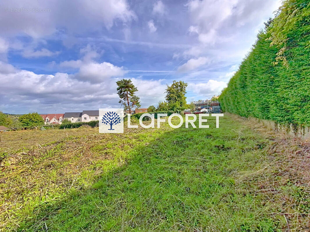 Terrain à ORGEVAL