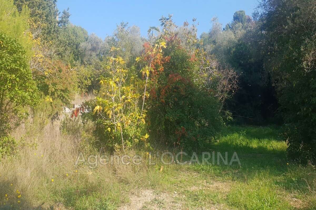 Terrain à LE CANNET