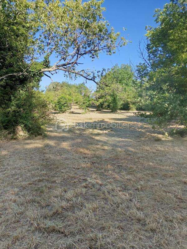  Superbe terrain arboré de 4 190 m² (Divisible ou extensible jusqu'à 8 879 m²) – Tourtoirac - photo 4