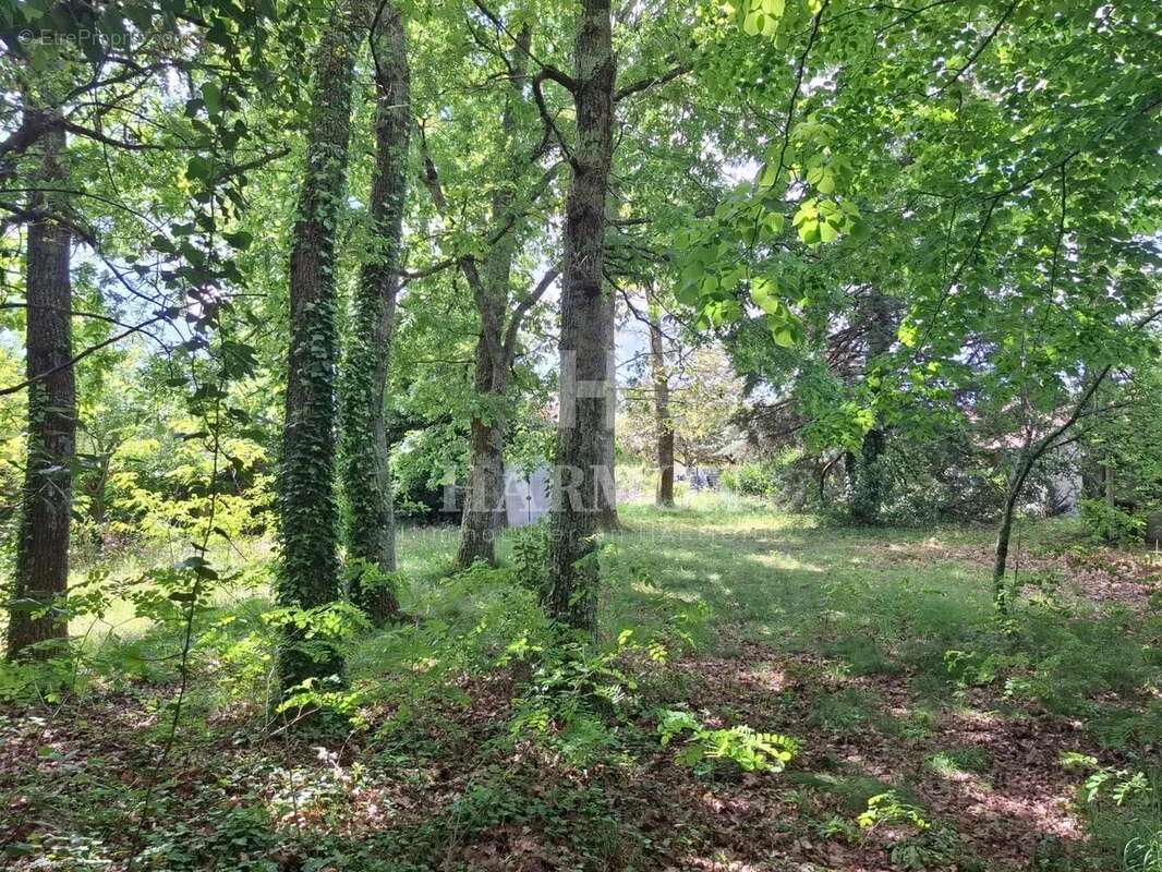 Terrain à GUJAN-MESTRAS