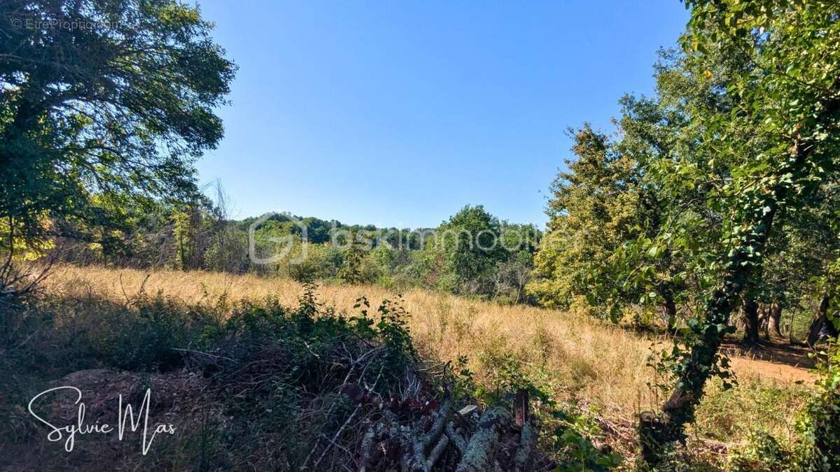 Propriété de caractère sur 6 hectares avec dépendances - photo 23