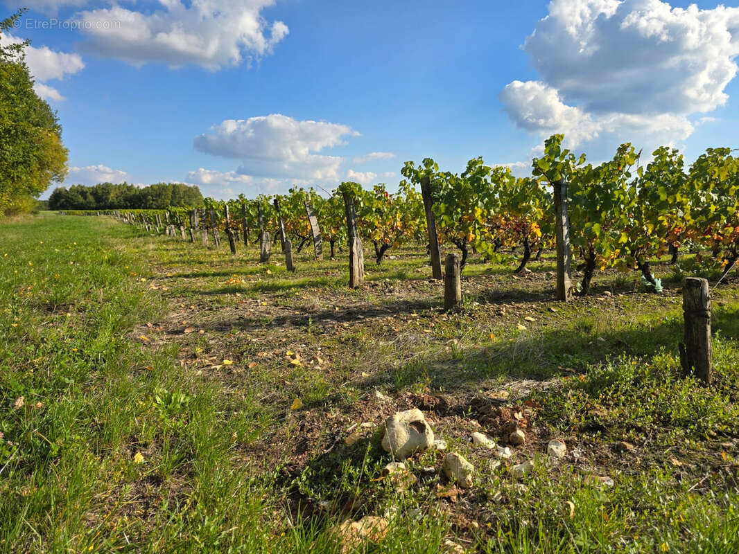 Terrain à FONTGUENAND