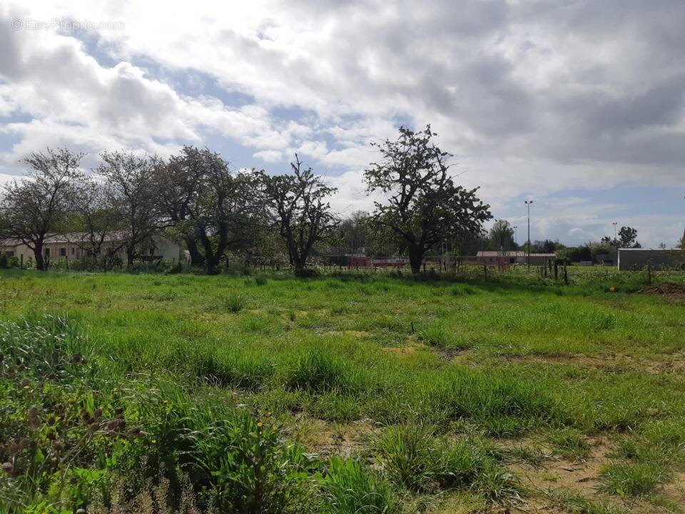 Terrain à DIEUPENTALE