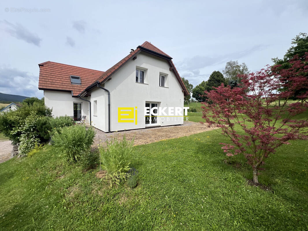 Maison à NIEDERHASLACH