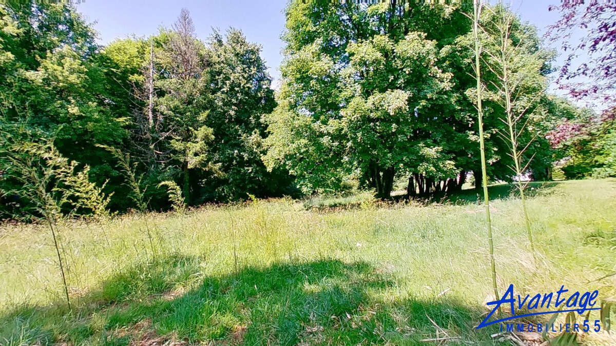 Terrain à BAR-LE-DUC