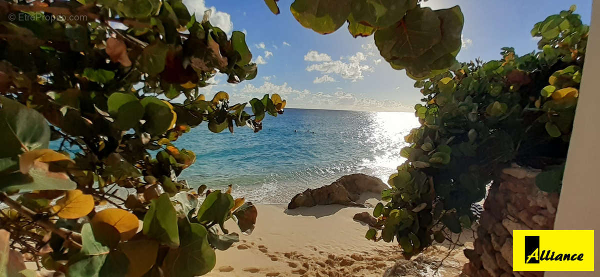 Appartement à SAINT-MARTIN