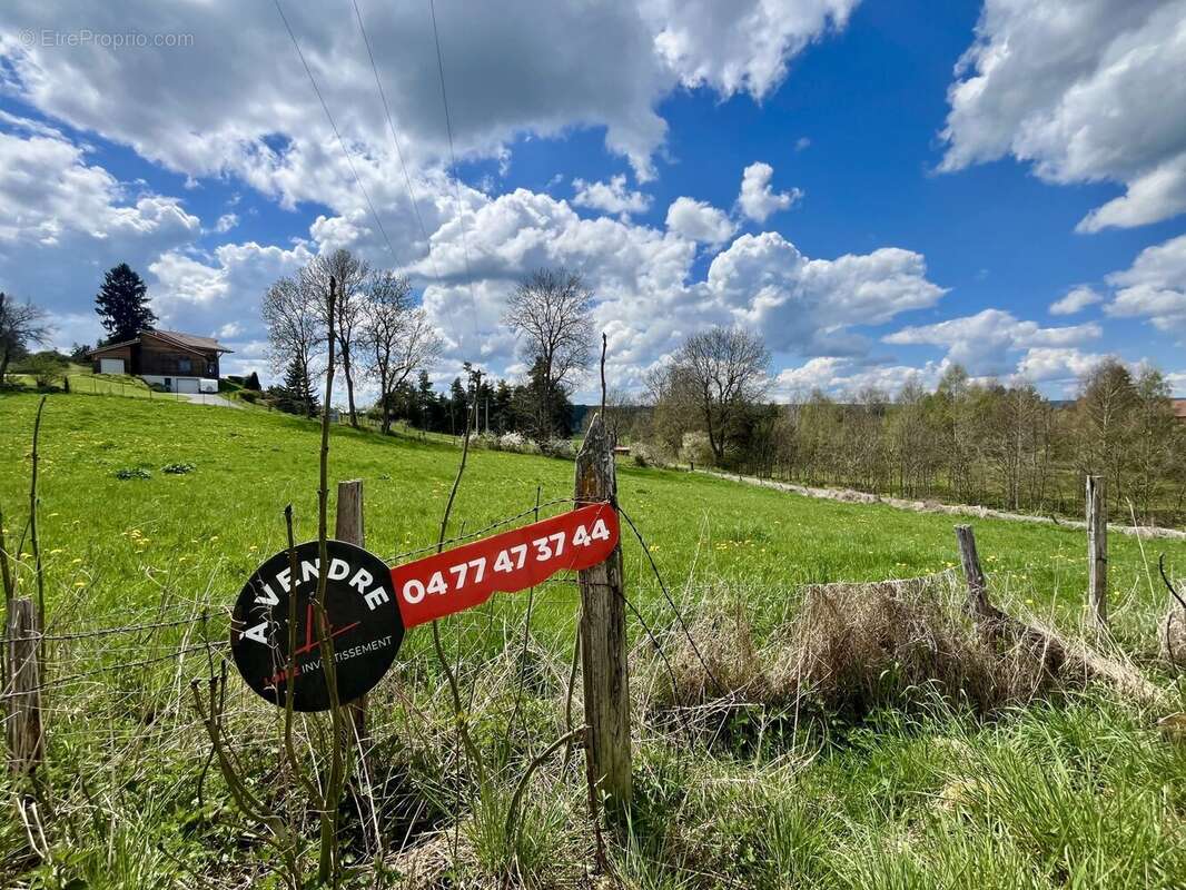 Terrain à USSON-EN-FOREZ