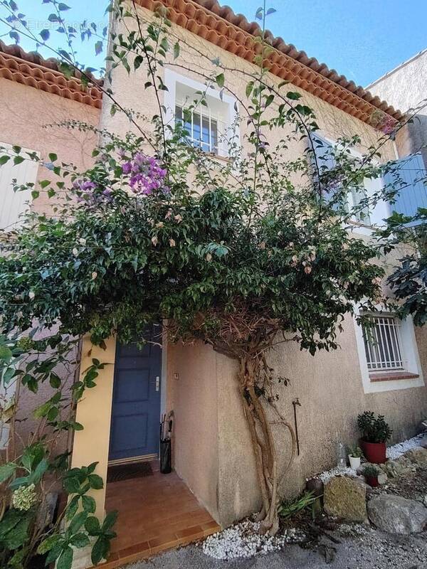 Photo 1 - Maison à BORMES-LES-MIMOSAS