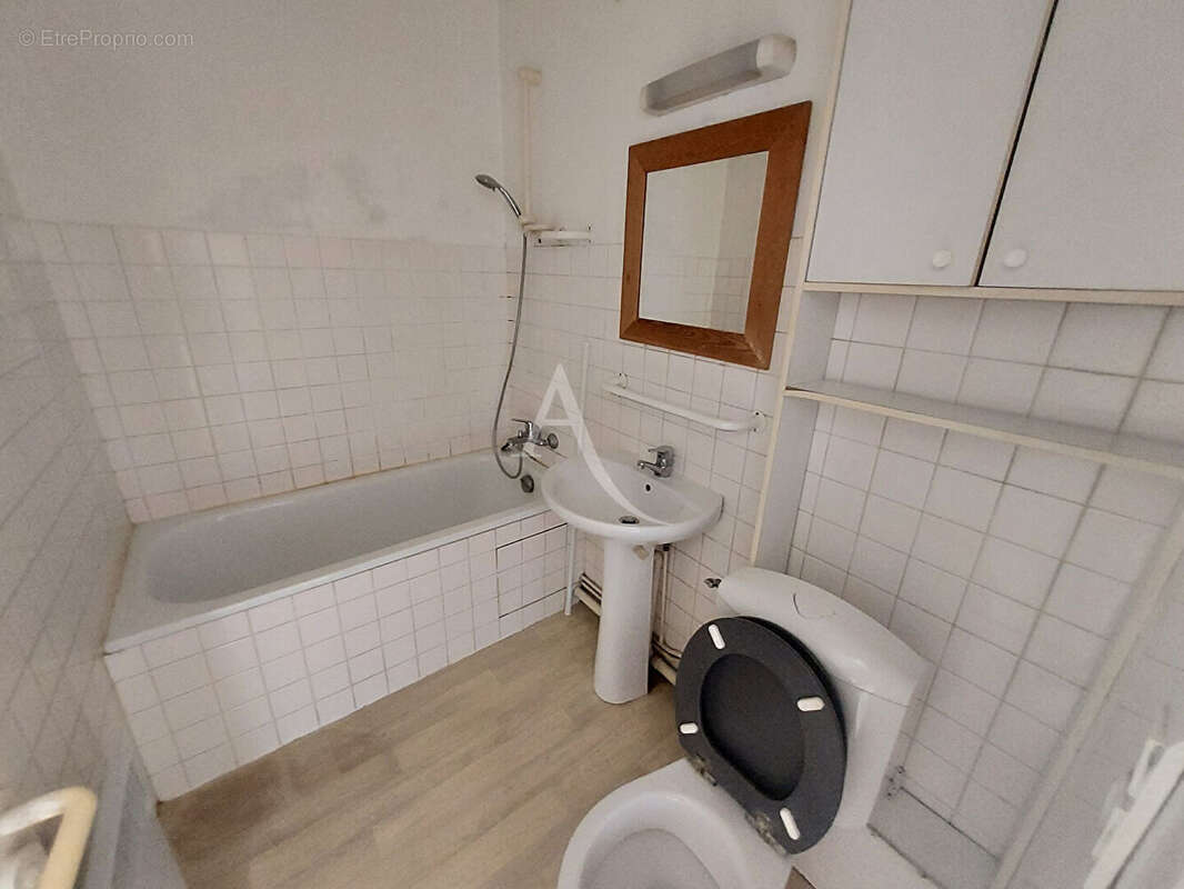 Appartement t1 - vue loire - ideal investisseur - photo 5