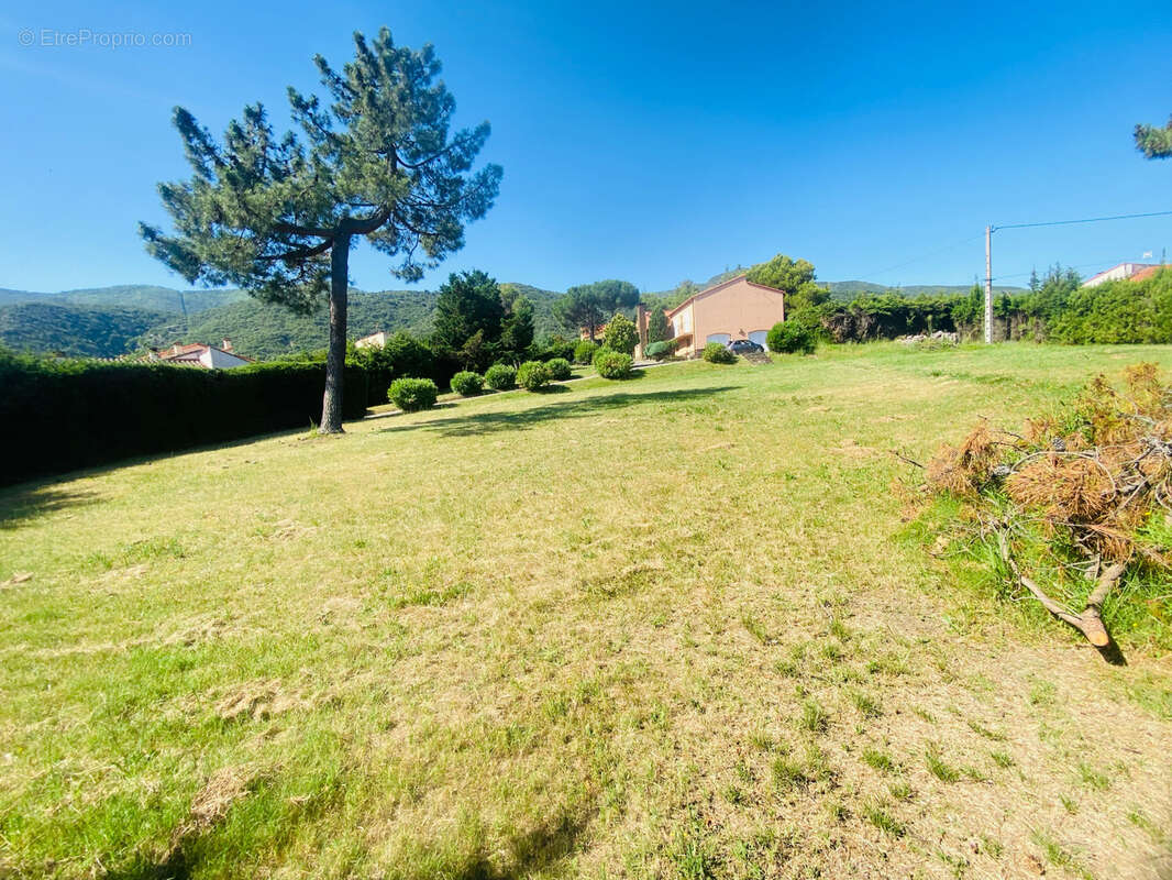 RARE À CÉRET -Fort potentiel-Terrain constructible de 2000 m2 avec certificat d’urbanisme délivré. - photo 8