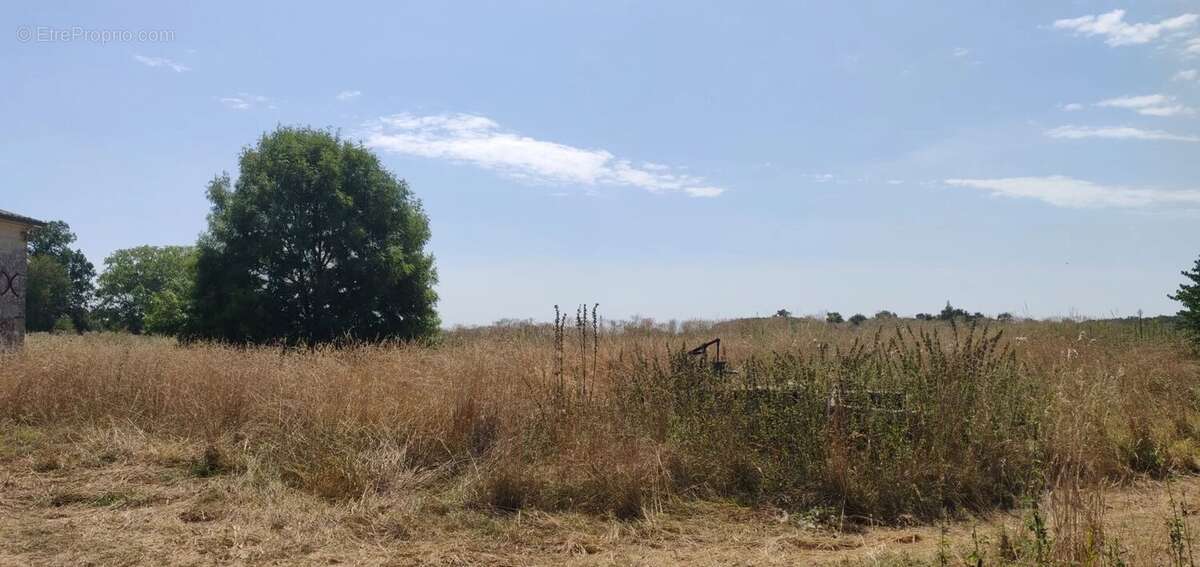 Maison de plain-pied, garage et jardin à vendre à Rioux (17) - photo 53