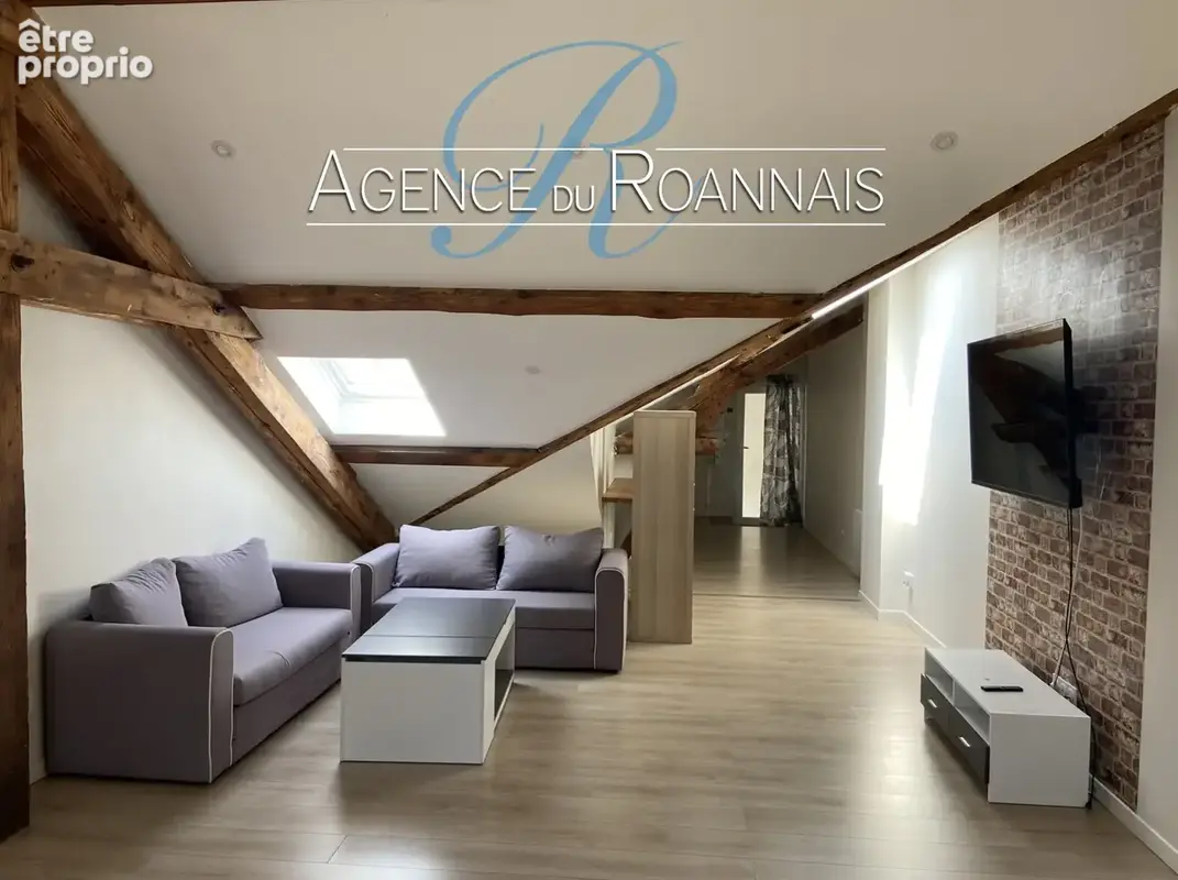 Appartement de Type 2 à vendre à ROANNE au dernier étage d'une petite copropriété entièrement rénové - photo 4