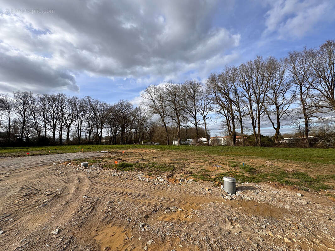 Terrain à BEAULIEU-SOUS-LA-ROCHE