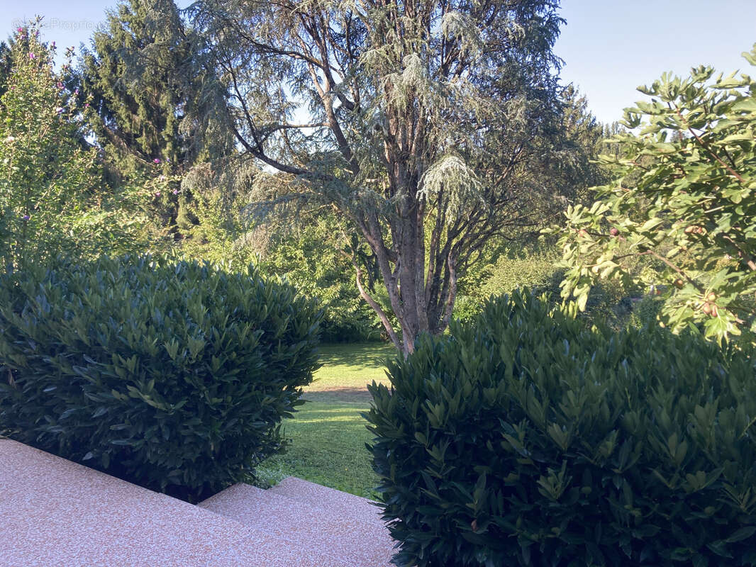 Maison à VILLIEU-LOYES-MOLLON