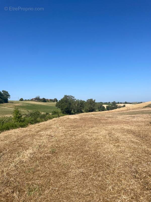 Terrain à VILLEFRANCHE-DE-LAURAGAIS