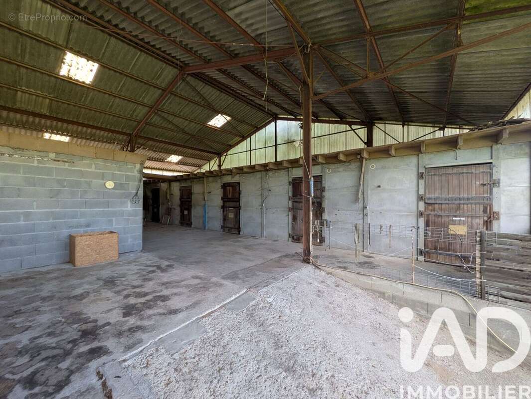 Photo 4 - Appartement à SAVIGNY-EN-VERON