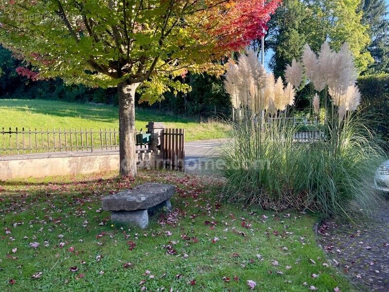 Maison à SAINT-DIE-DES-VOSGES