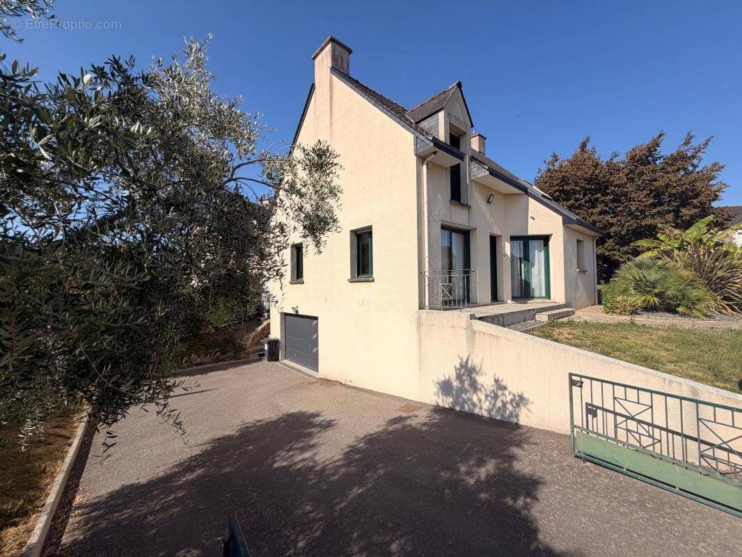 Maison à TAILLIS