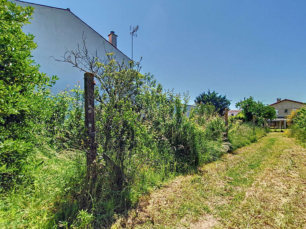 Terrain à ANGOULINS