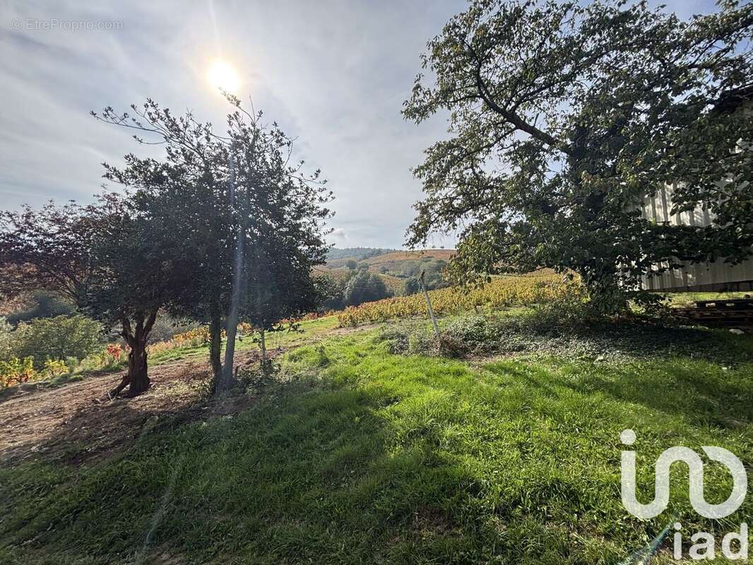 Photo 9 - Maison à QUINCIE-EN-BEAUJOLAIS