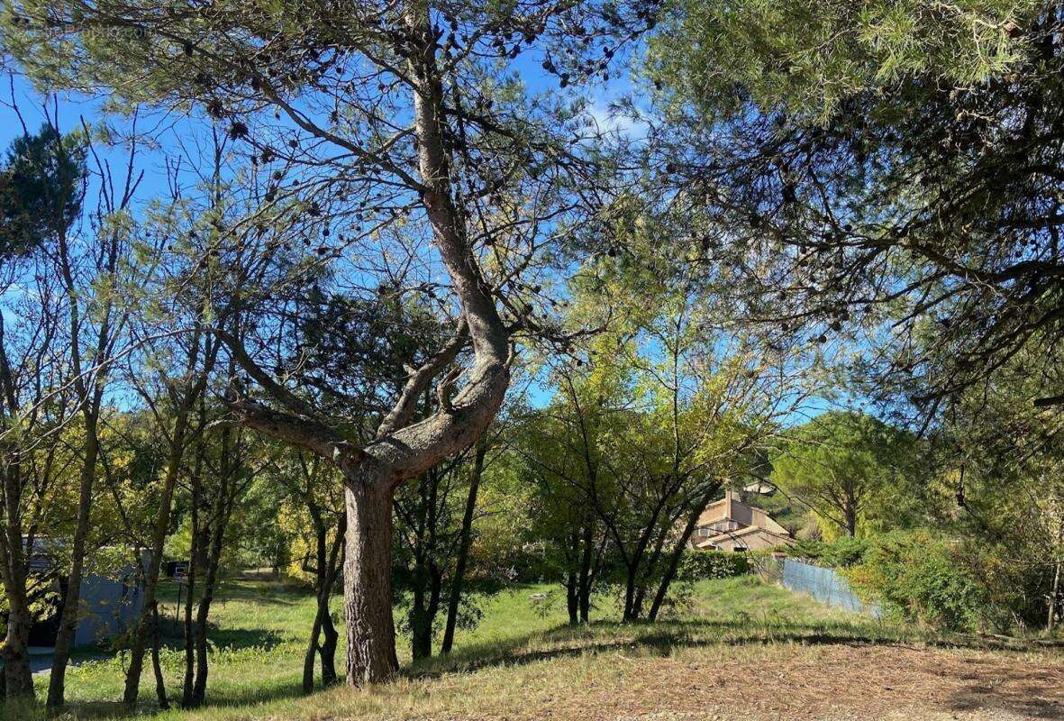 Terrain à CARCASSONNE