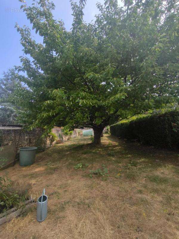 Maison avec commerce 300m² - photo 12