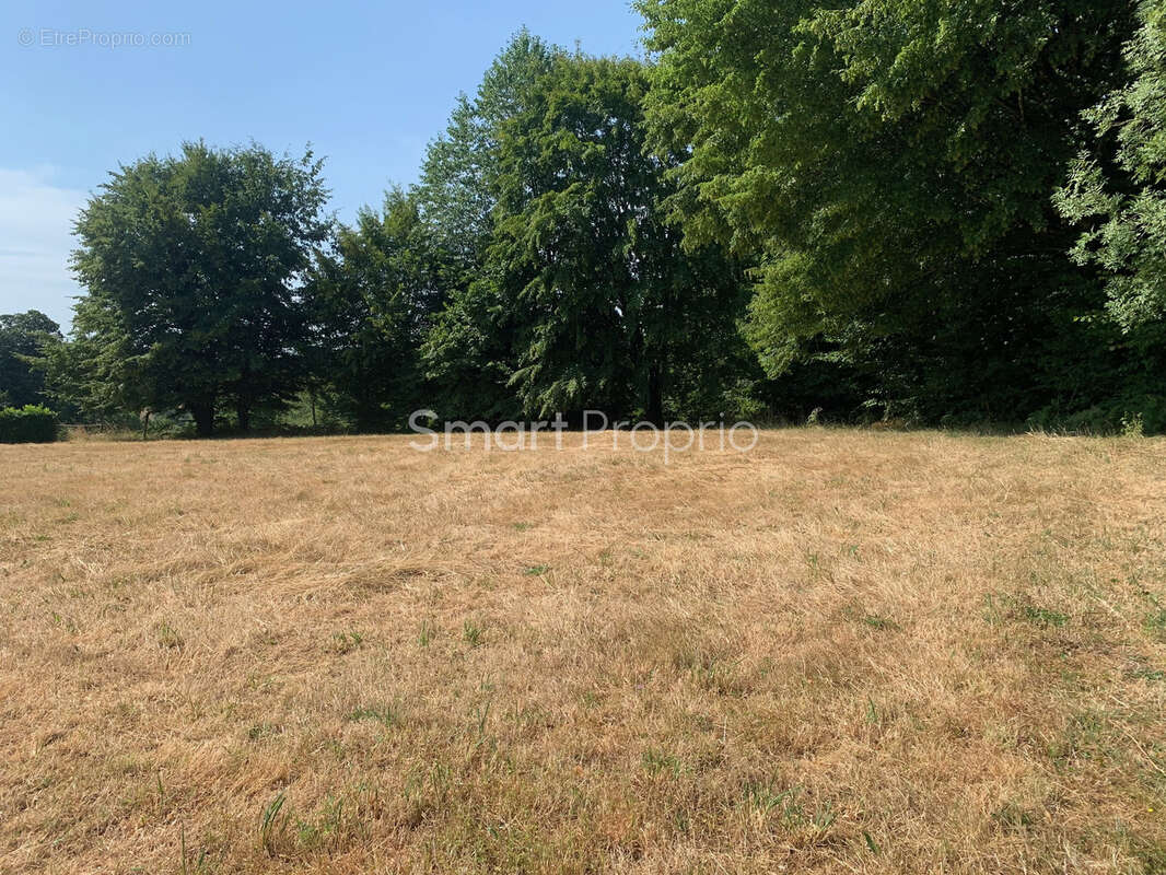 Maison 70 m2 sur 3600 m2 au calme assuré - photo 10