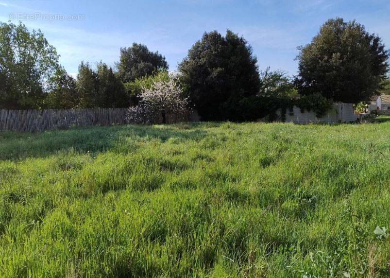 Terrain à SAINT-ROGATIEN