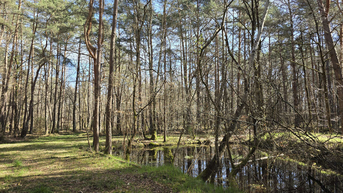 Maison à VILLEFRANCHE-SUR-CHER